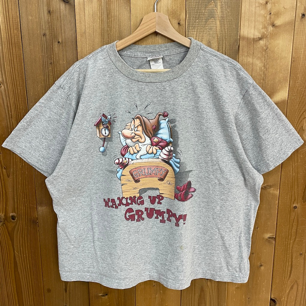 Disney Store ディズニーストア 白雪姫 プリントTシャツ 半袖 カットソー 古着/USED