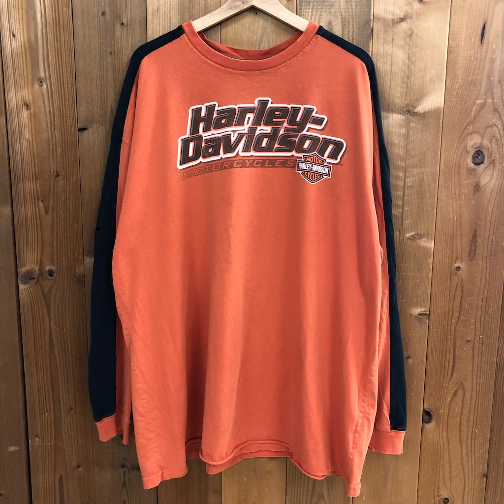 USA製 HARLEY-DAVIDSON ハーレーダビッドソン　ロングTシャツ ロンT プリント