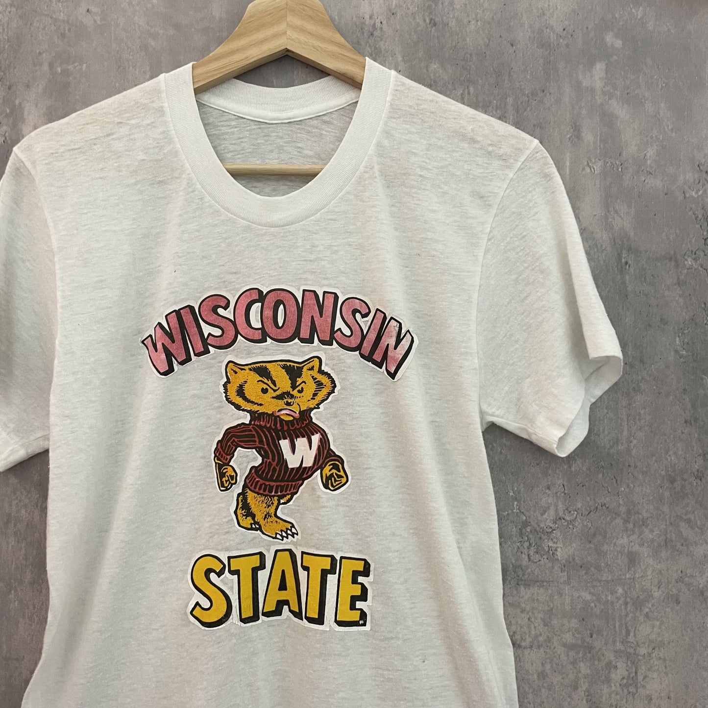 70s vintage 古着　ヴィンテージ　WISCONSIN バッキーくん　シングルステッチ　Tシャツ　カレッジ　キャラクター