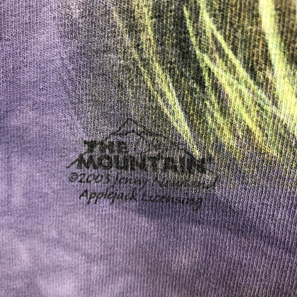 00s vintage GILDAN ギルダン THE MOUNTAIN ザマウンテン アニマル プリントTシャツ 半袖 カットソー タイガー ヒョウ ブラックタイガー ライオン タイダイ ビッグサイズ 2003年